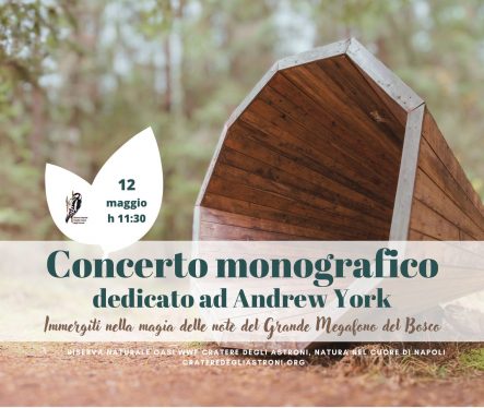 Concerto monografico