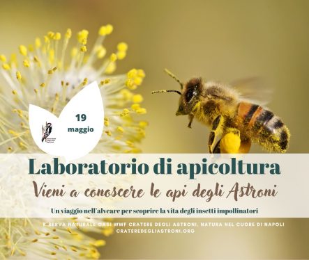 Laboratorio di apicoltura